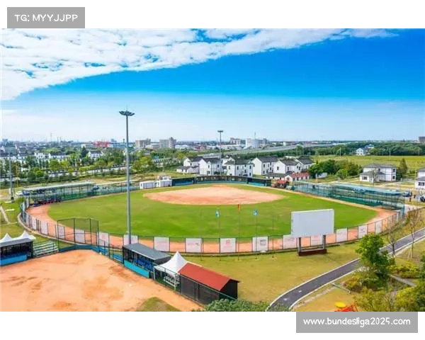 徐家埭村棒球集市国庆3小时营业额近5万，村民摊位占比60%